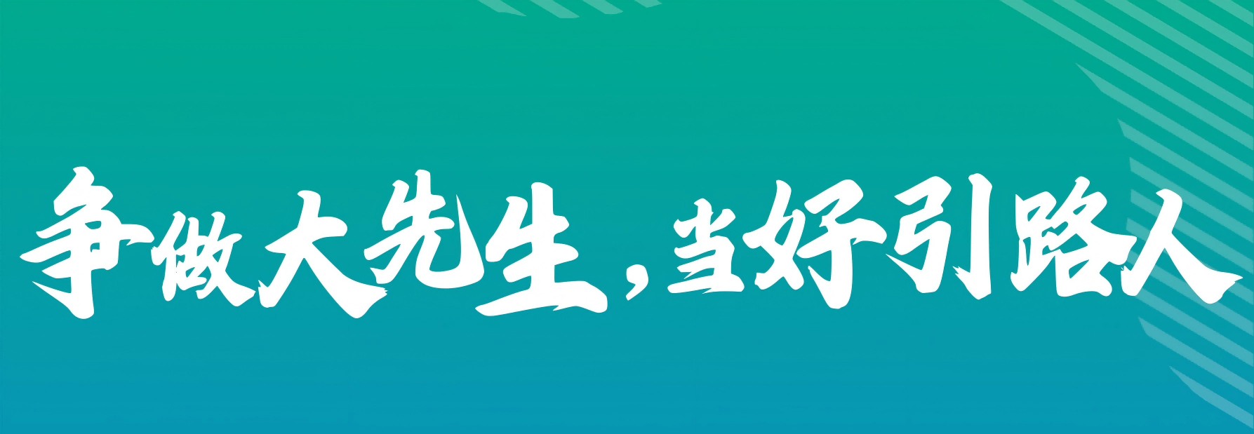 教学团队